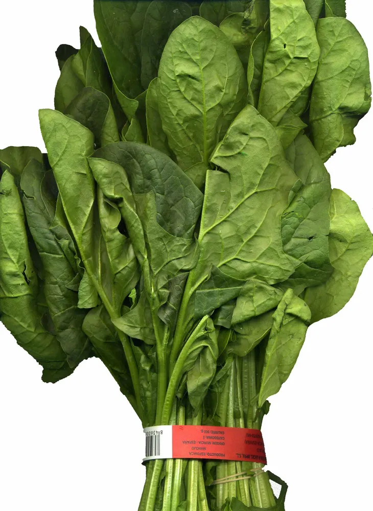 Espinacas