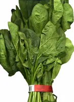 Espinacas