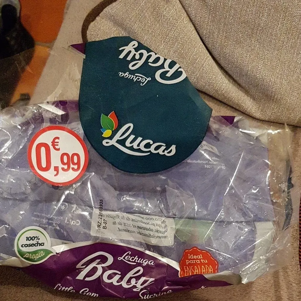 Salade lechuga baby