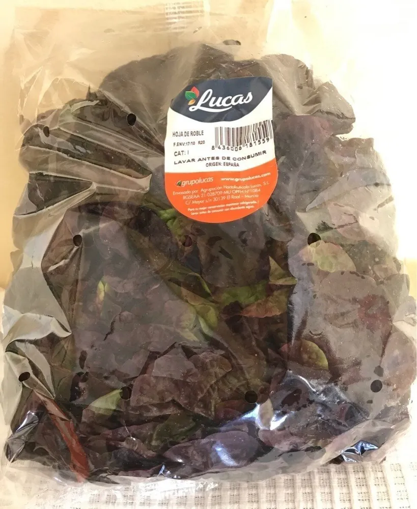 Hoja de roble