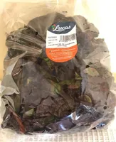 Hoja de roble