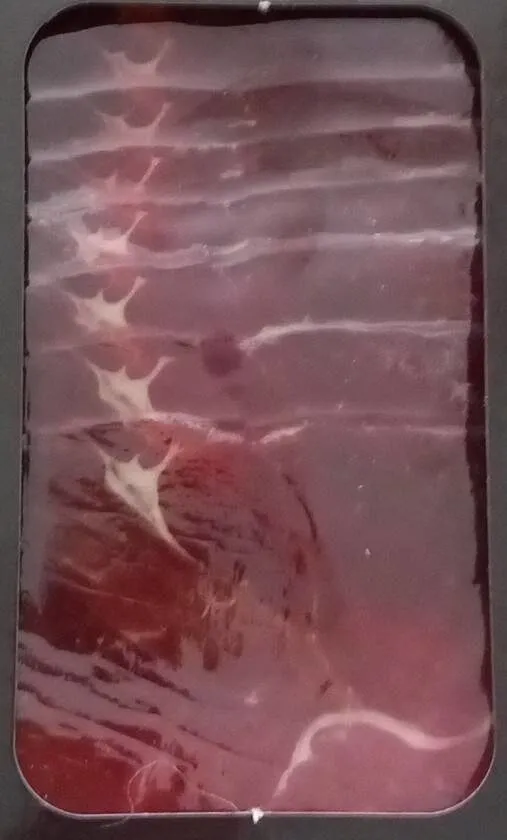Jamón de cebo ibérico