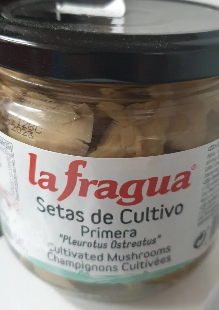 Setas de cultivo