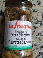 Setas