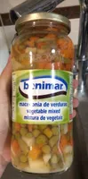 Macedonia de verduras