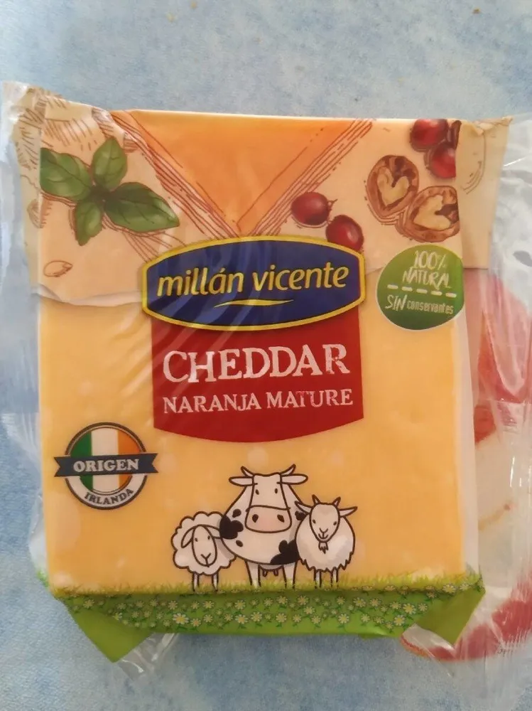 Cheddar Naranja Nature