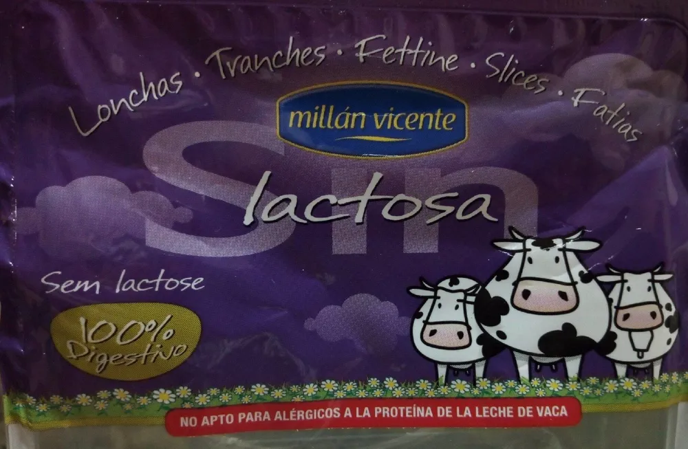 Lonchas Edam. Queso madurado (Sin lactosa)