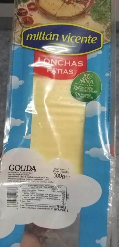 Lonchas Fatias Queso Gouda