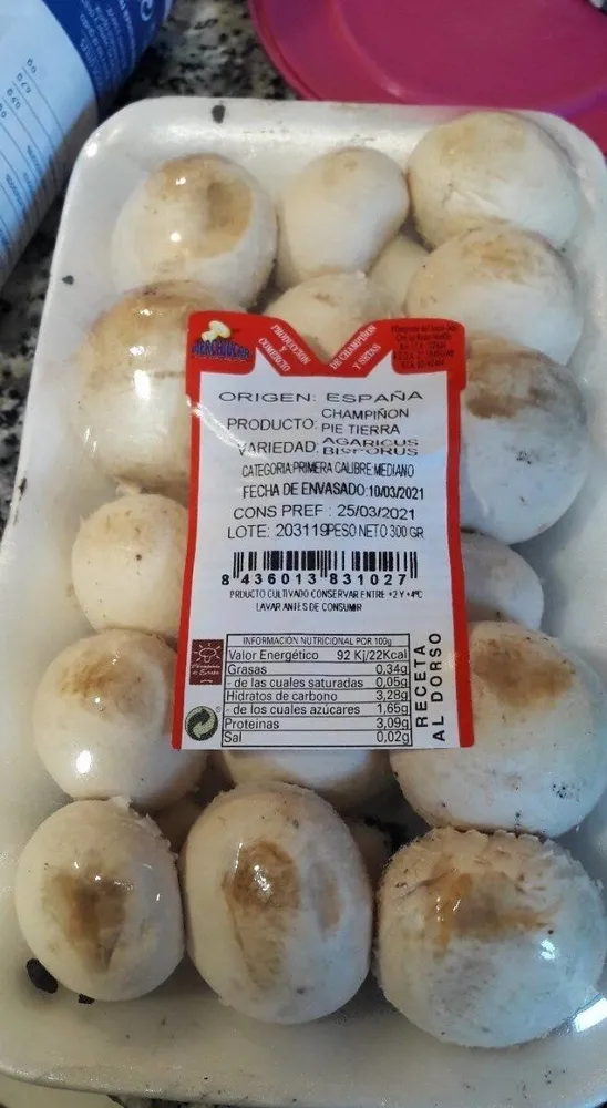Champiñón