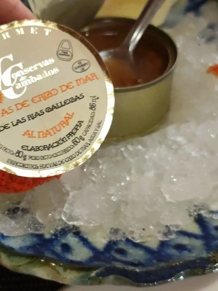 Corail d'oursin de mer