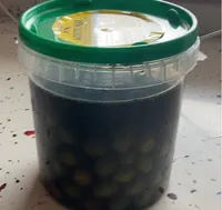 Aceitunas de Campo Real