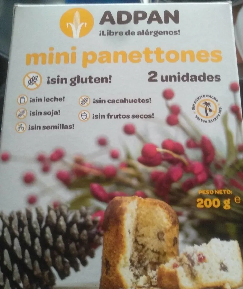 Mini panettones