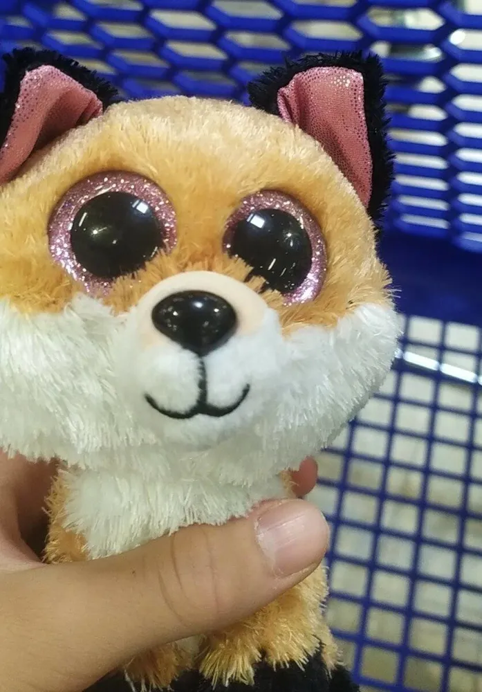 Foxy