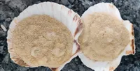 Concha de marisco gratinada