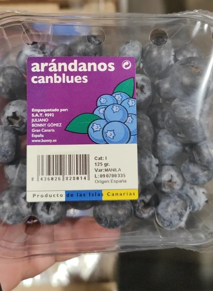 Arándanos