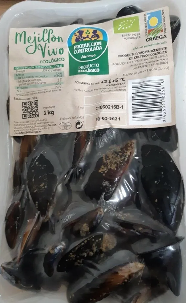 Mejillones vivos ecológicos