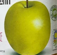 Zumo de manzana ecologico