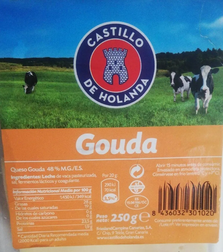 Gouda "queso"