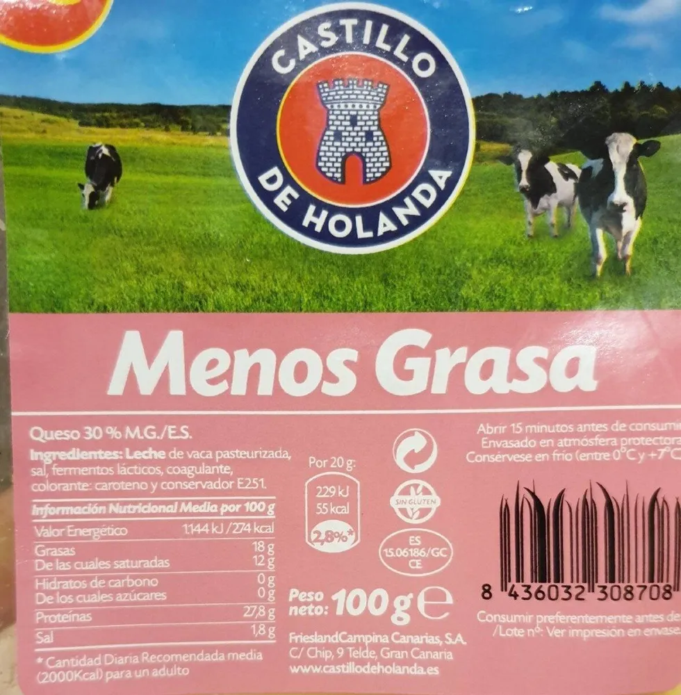 Castillo de Holanda Menos Grasa