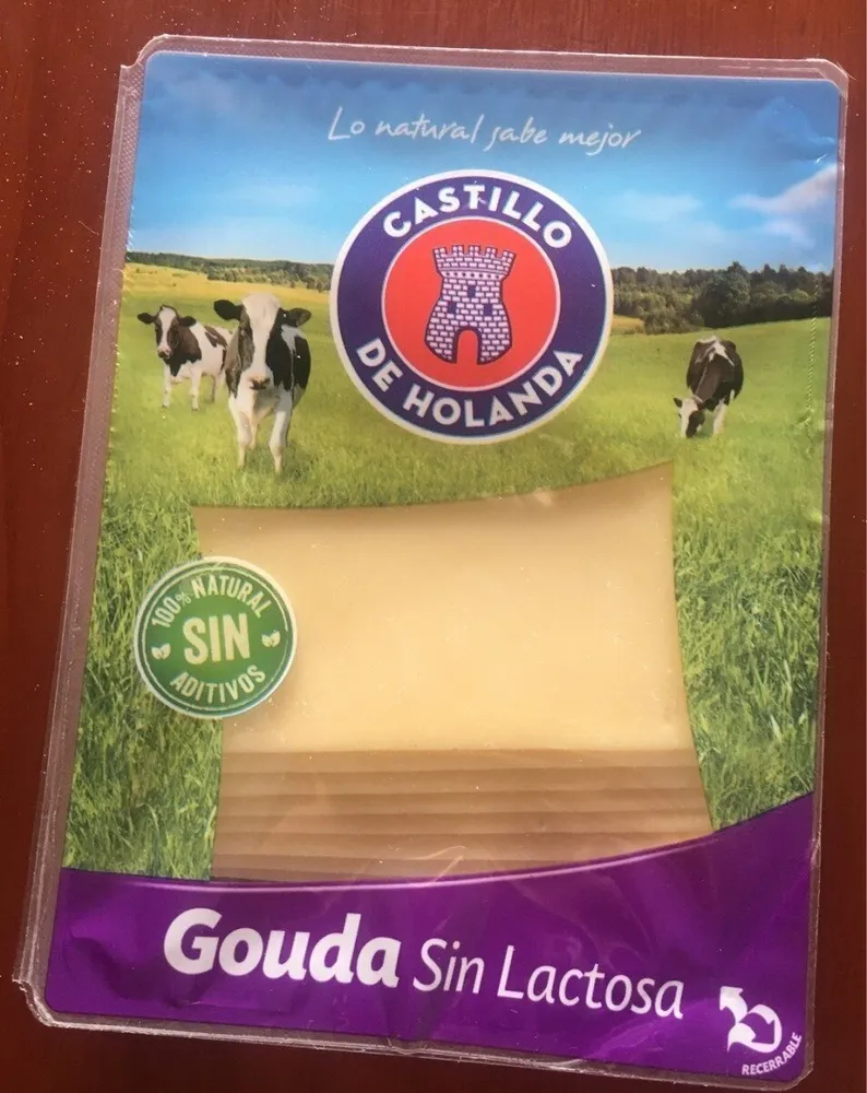 Queso Gouda