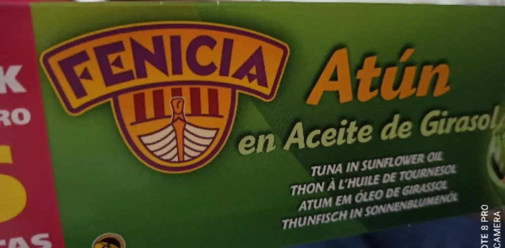 Atun trocitos