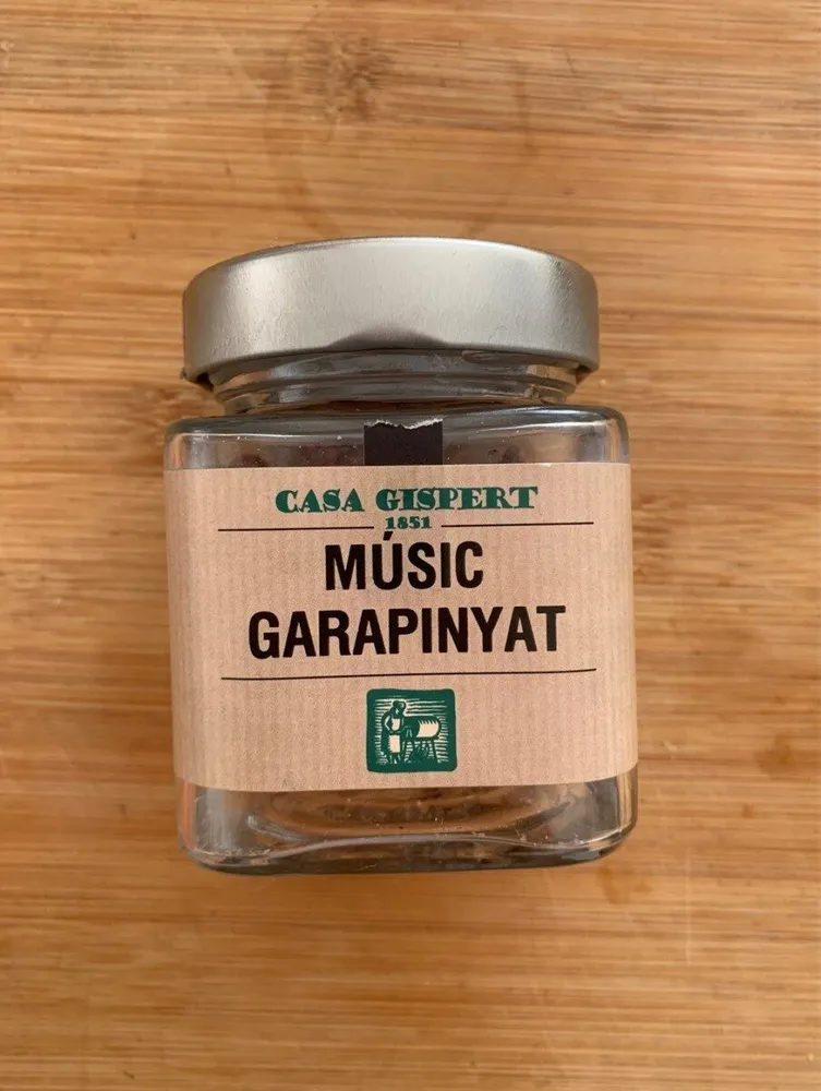 Músic garapinyat