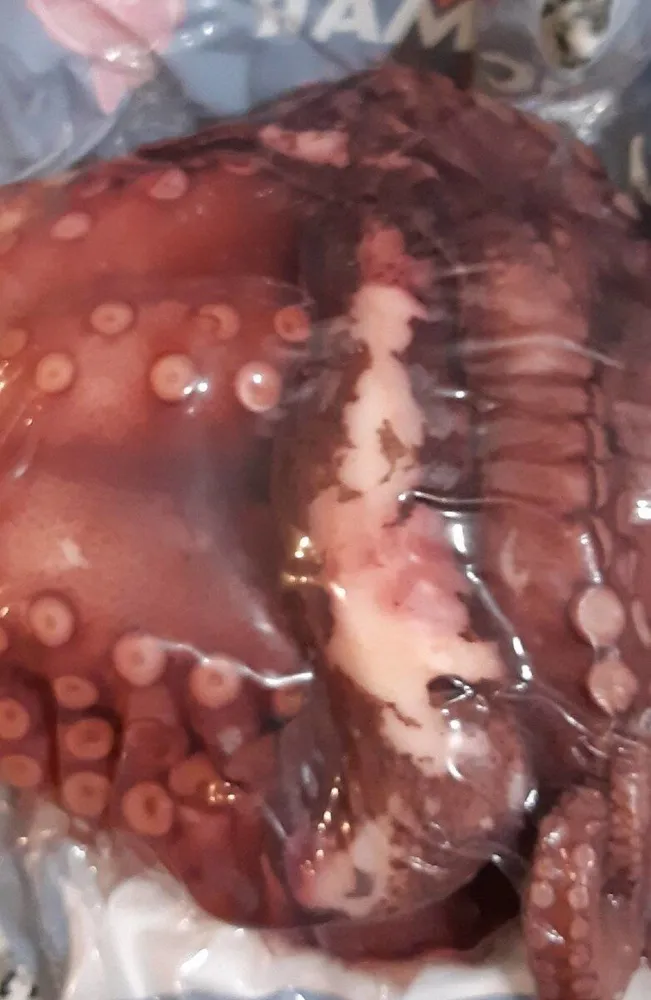 Pulpo cocido
