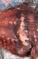 Pulpo cocido