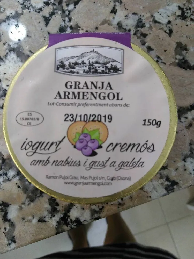 Yogur cremoso con arándanos y sabor a galleta