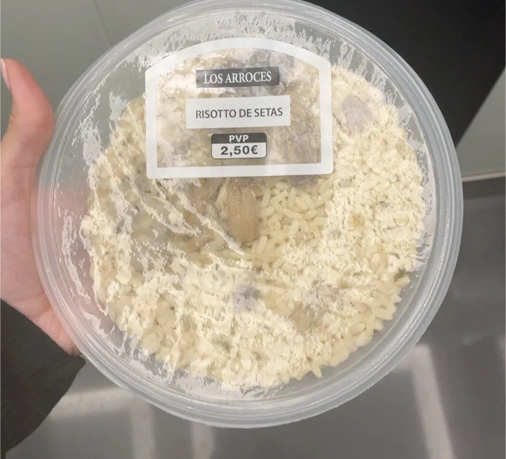Risotto de setas