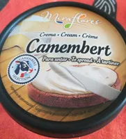 Crème camembert à tartiner