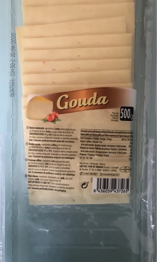 Gouda