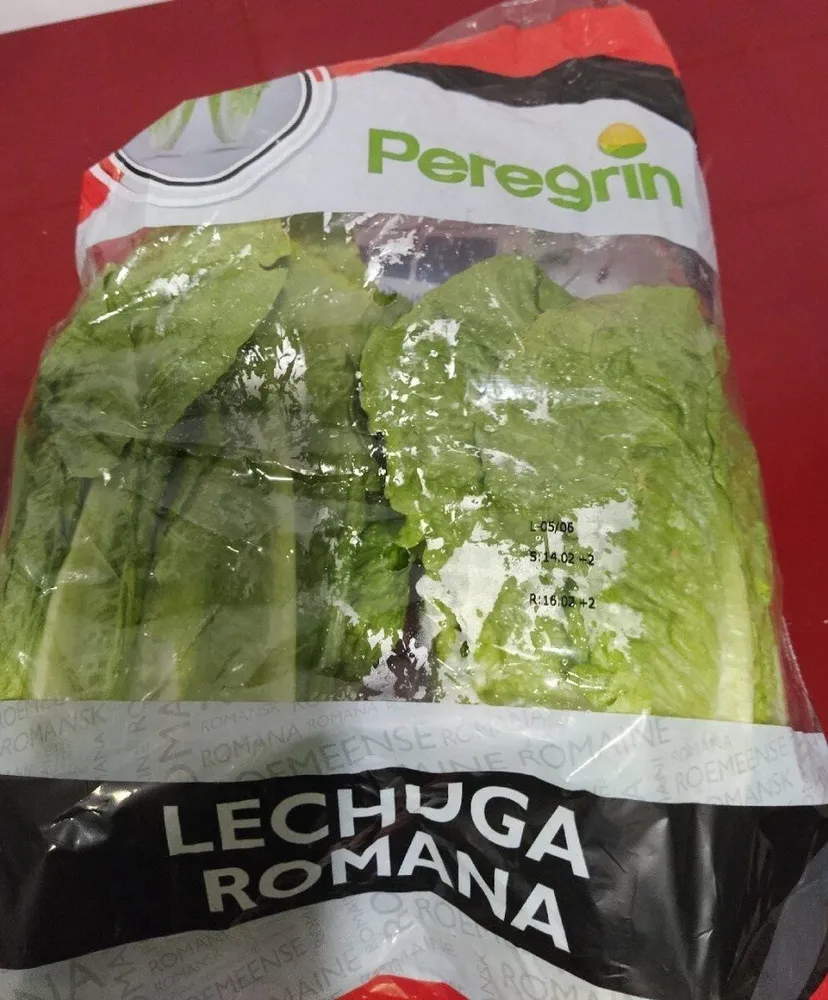 Lechuga romana