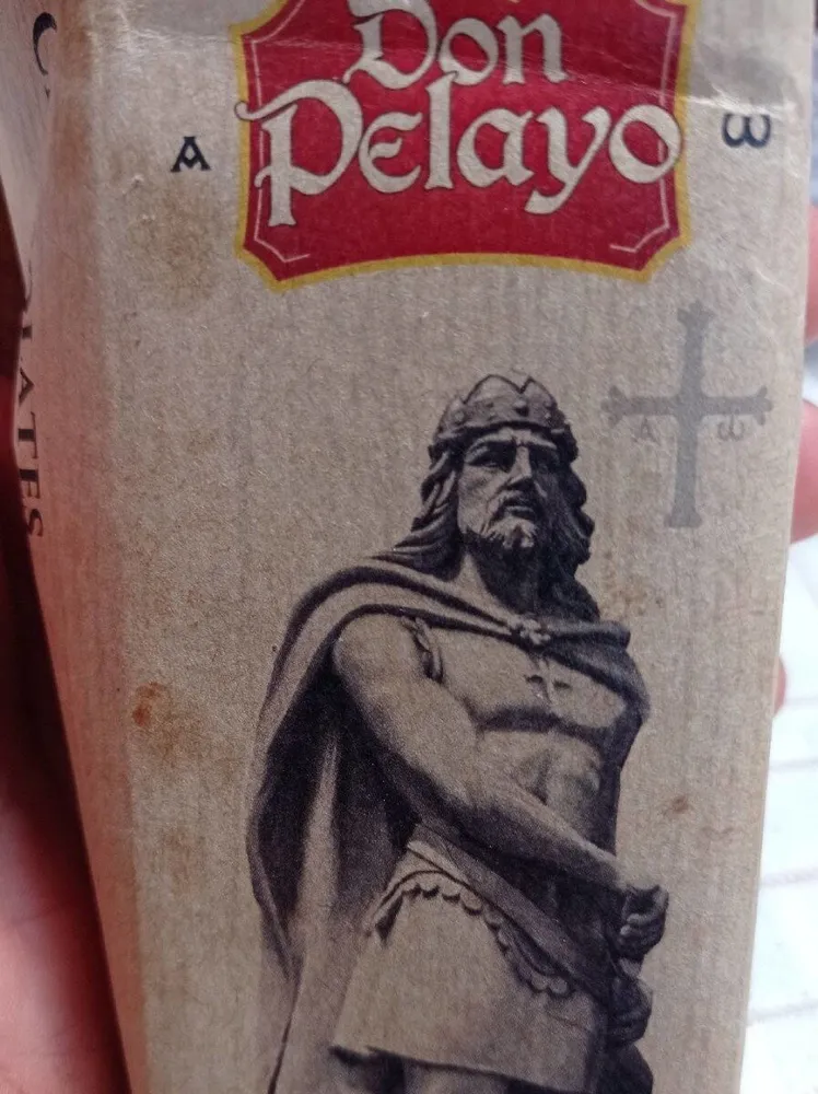 Don pelayo