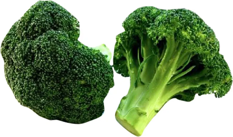 Brocoli Cuit (Pas de Matières Grasses Ajoutées dans la Cuisson)