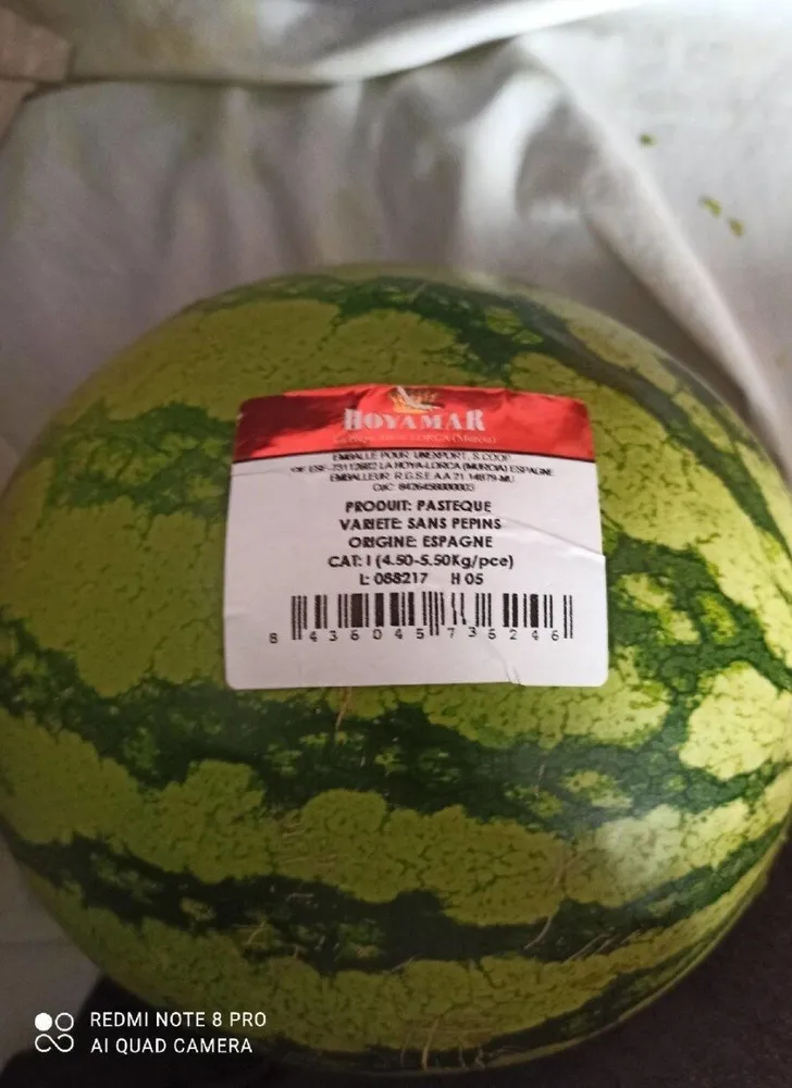 Pastèque