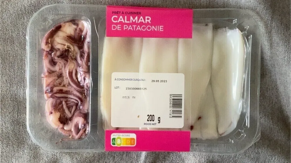 Calmar de patagonie