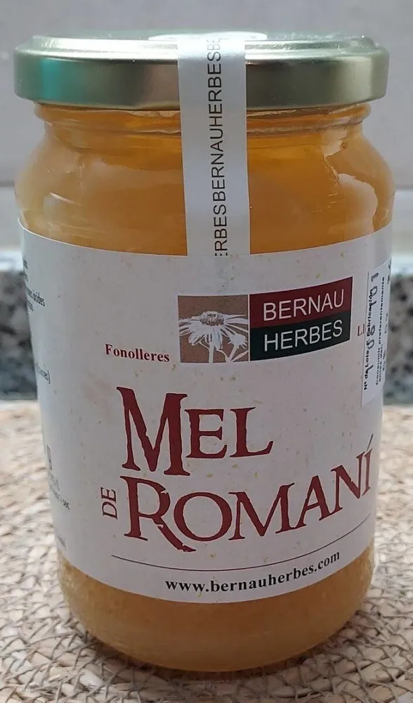 Mel de Romaní