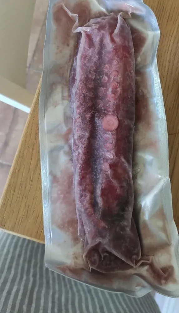 Pulpo