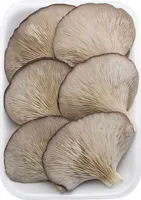 Seta cultivada