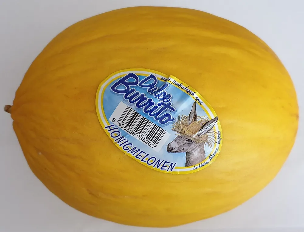 Honigmelonen
