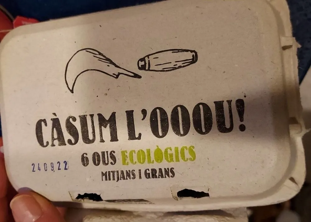 Huevos ecológicos
