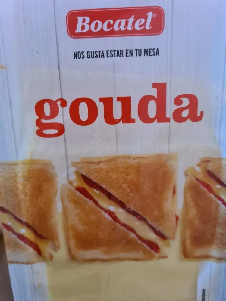 Queso gouda loncheado