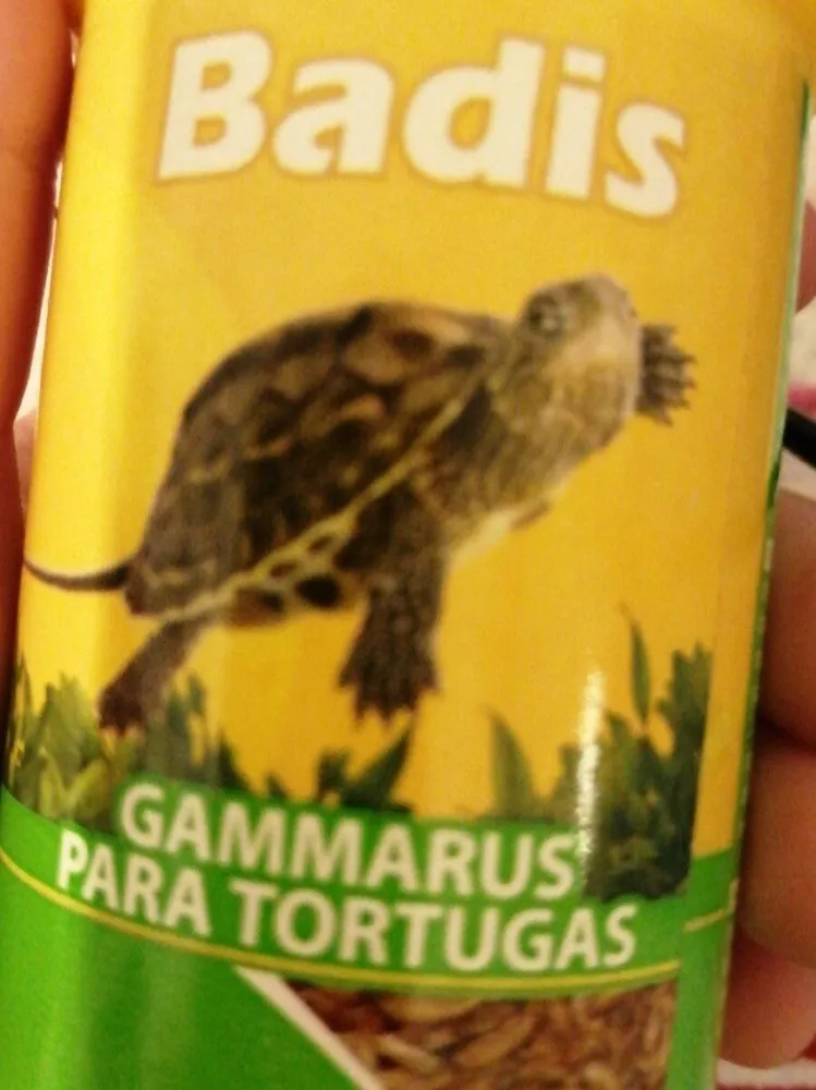 Gammarus para tortugas