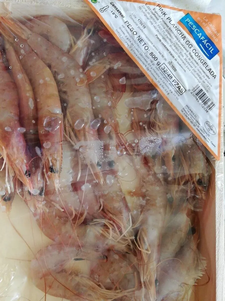 Gamba