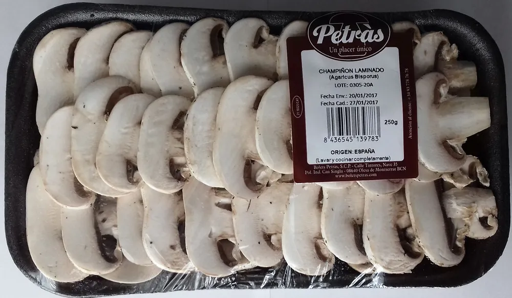 Champiñon