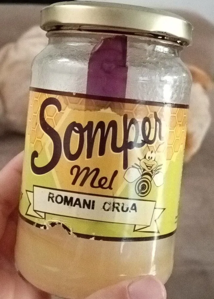 Somper
