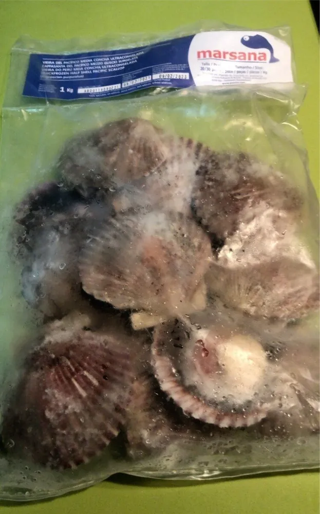 Vieira del Pacifico