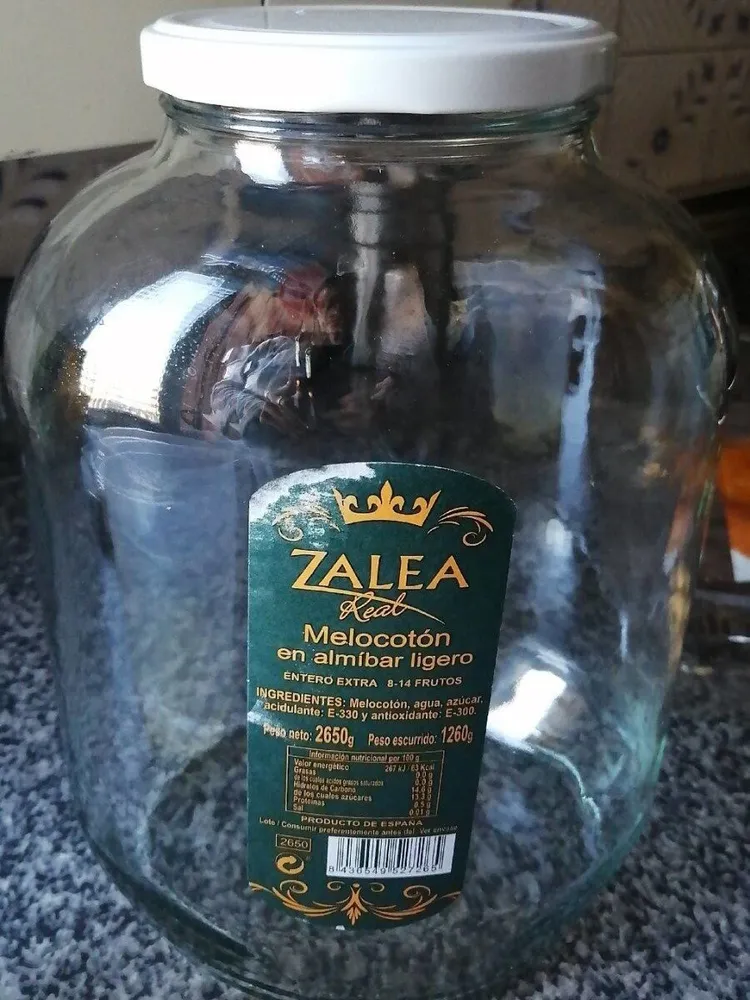 Zalea