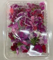 Flor claver chino